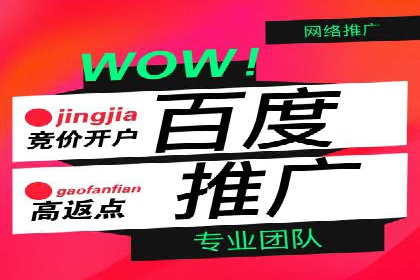 百度竞价广告投放策略：案例分析及优化建议