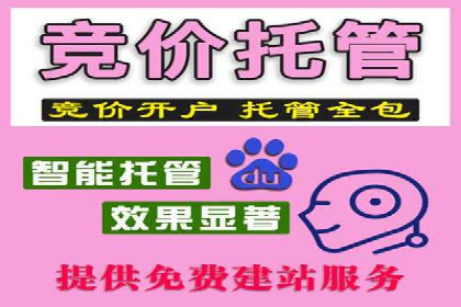 SEM代理服务：提升广告投放效果